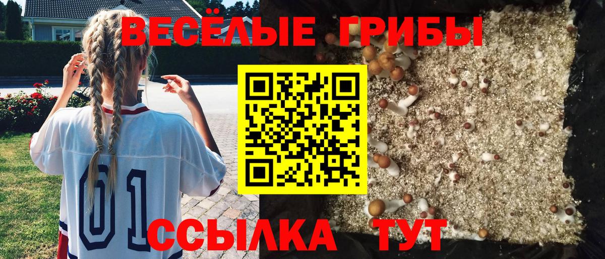 Улан-Удэ  Псилоцибиновые грибы MAGIC MUSHROOMS  Вход с VPN 